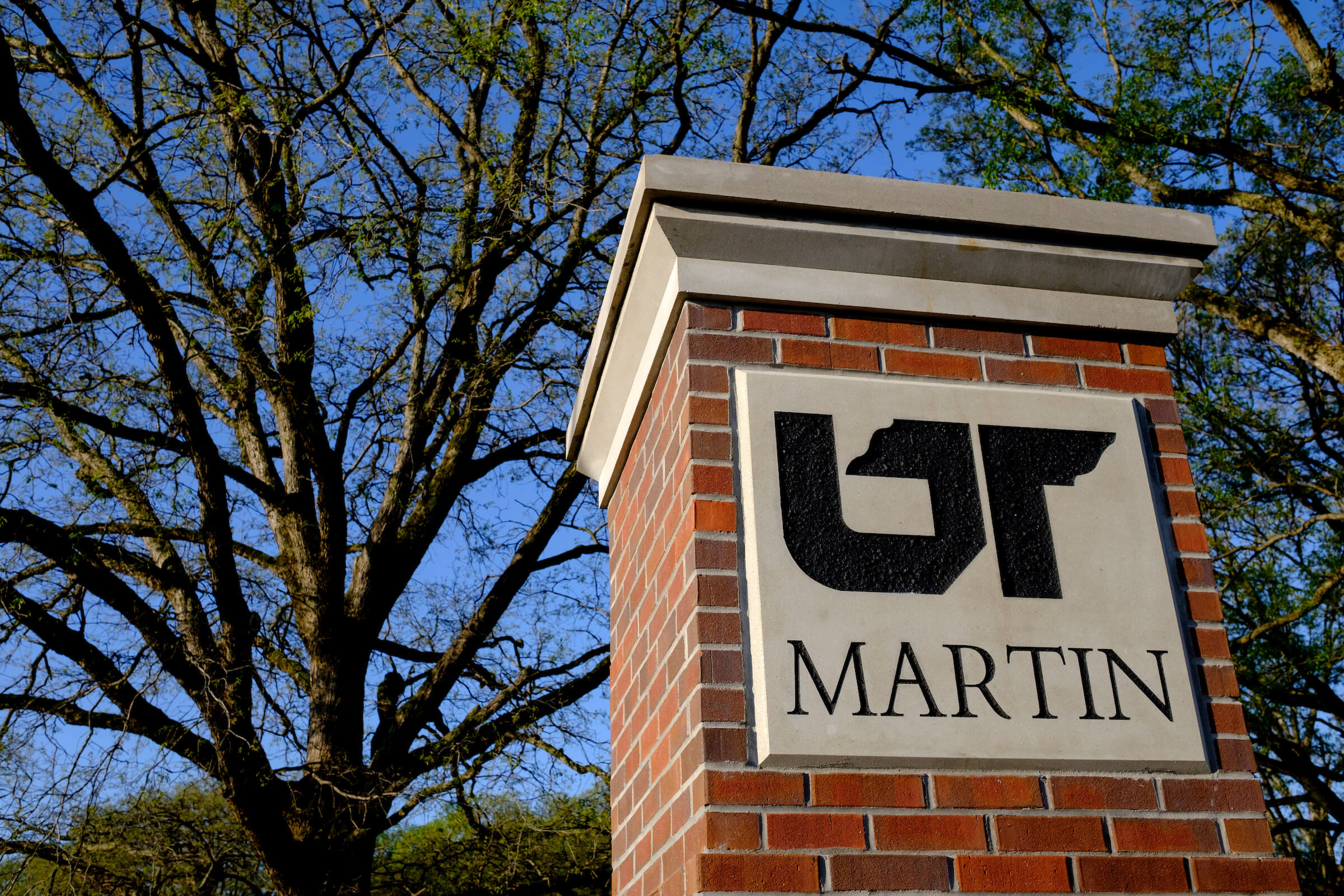 UT Martin